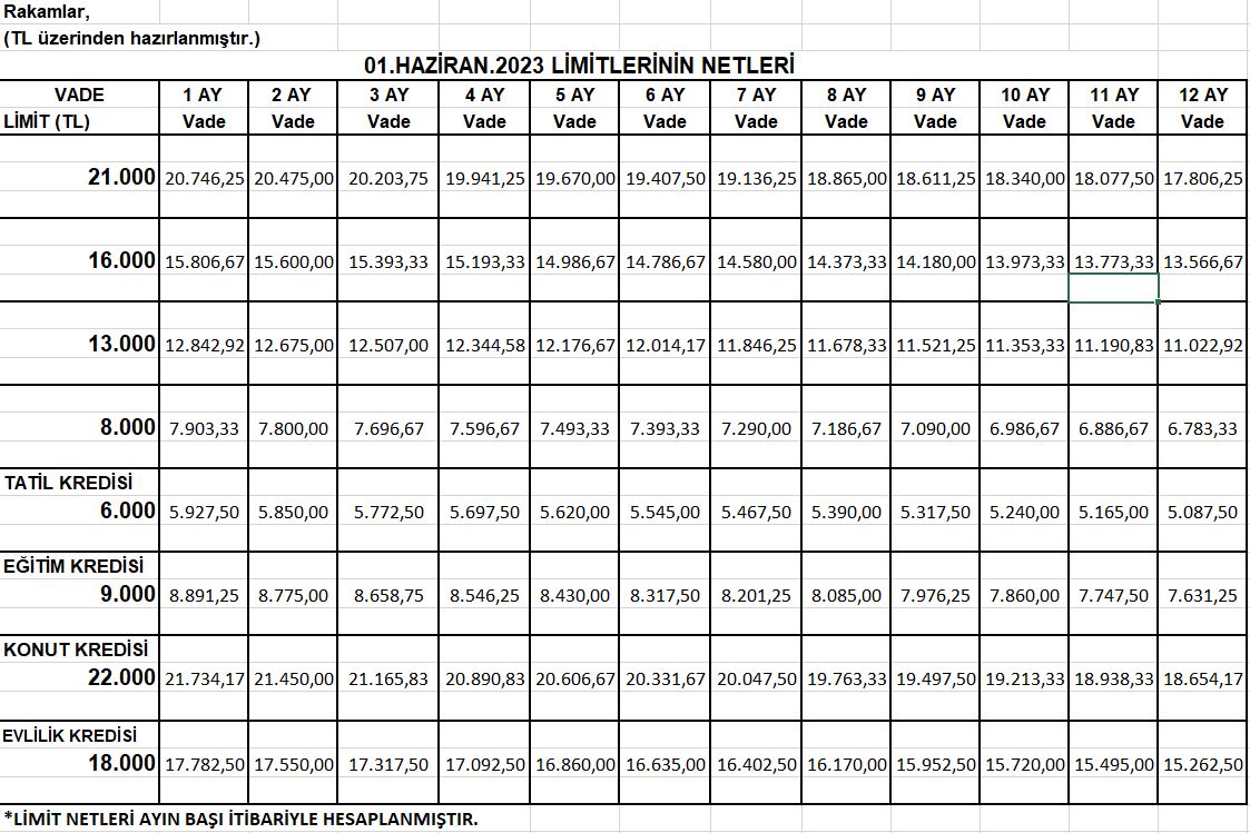 Ocak 2024 Limitlerinin Netleri